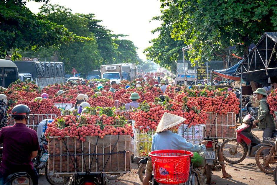 Como gerar tráfego orgânico para seu negócio